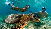 Amaizing Tour Tulums + Akumal Turtles from Cancún