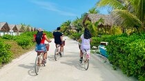 Tour Holbox Magic Island - Pasion Island & Cenote from Cancun