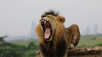 Nairobi national park and giraffe center