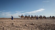 From Marrakech: Agafay Desert Camel Experience
