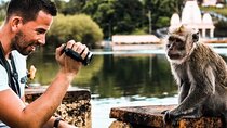 Best of the South-West, Instagram PhotoShoot Tour with Mauritian Lunch on the go