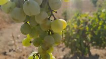 Naxos Farm Experience and cheese making 