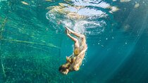 SUPER Tour Kaan Luum Lagoon, 2 different Cenotes. Lunch included
