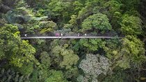 2-in-1 Arenal Hanging Bridges + La Fortuna Waterfall