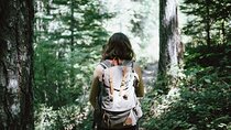 Private Jungle Tour in the Carara National Park