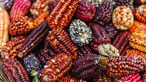 Full-Day Sacred Valley and Maras Moray Tour