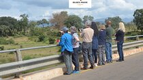 Exhilarating 7 Day Kruger Safari Adventure - South to North