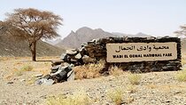 Safari Day Tour To Wadi El Gamal National Park From Marsa Alam