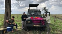 2-Day Manyara and Ngorongoro Crater lodge safari and Game Drive