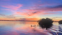 2 Hour Guided Sunset Boat Tour of the Indian River Lagoon