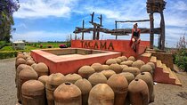 Ica: Pisco and Peruvian Wine Route