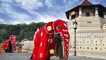 Sigiriya To Kandy Private Transport With Sightseeing