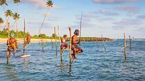 Day Tour Of Gall with Mangrove Safari From Negombo & Colombo