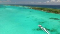 Unlimited Catamaran Adventure! Open Bar, Party & Transportation From Cancun