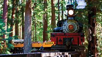 Redwood Forest, Santa Cruz Harbor 1-Day Trip from San Francisco