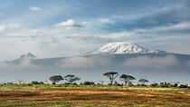 7-Day Mt Kilimanjaro Trekking via Machame Route