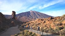 Small Group Teide National Park Volcanic and Forest Wonders