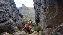 Cape Town: India Venster Half-Day Hike on Table Mountain