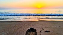 2-Days 1 Night Private Ras Al Hadd Tour
