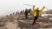 8-Day Private Kilimanjaro Trekking via Lemosho Route from Arusha