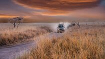 6 days Tanzania budget safari