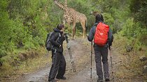 3 days hiking adventure on Mount Meru