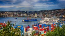 Full Day Guided Tour Viña del Mar and Valparaíso from Santiago