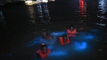 Luminous Lagoon (Glistening Waters)