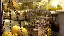 Walking Tour Wine Tasting and Typical Products in Sorrento Farm