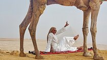 Private Tour to Egypt Famous Pyramids and Sphinx from your Hotel