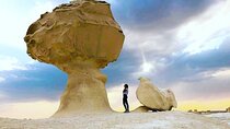  Private White Desert tour one Full day from Cairo 
