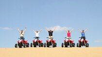 3 Pools by Bus with ATV Quad, Camel & Lunch - Sharm El Sheikh