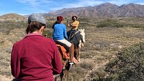 Horseback expedition to The Andes, 2 days. Sleep in the heart of the mountain. 