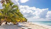 Saona Island Full-Day Tour with Lunch from Punta Cana