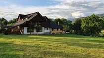 Private 6-Day Romania Tour from Bucharest