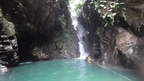 Tour Birds, Anchicaya and the Oasis de la Sirena