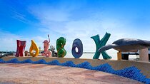 Discover the Wonders of Holbox, Cenote and Passion Island. Transport included