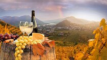 Vienna Wine Tasting Tour with Private Wine Expert