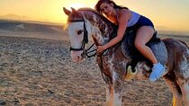 Horse Riding One hours At Amazing Desert With Transfer-Marsa Alam