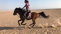 Horse Riding 2 Hours in Amazing Desert With Transfer - Marsa Alam