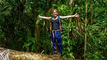 Sinharaja Rainforest Trekking Private Day Trip with Local Lunch
