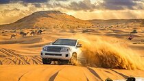 Dubai Premium Desert Safari: Dune Bashing,Camel Ride,Shows & BBQ