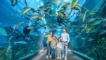 Dubai Aquarium UnderwaterZoo and Penguin cove Admission Ticket