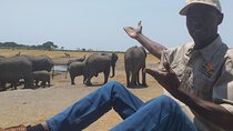 Hwange National Park Full Day Trip