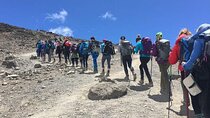 8 Day Private Kilimanjaro Climb via Lemosho Route
