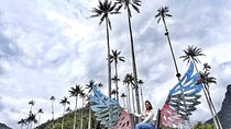 Cocora Valley and Salento Hike Tour