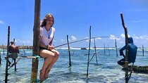 Galle Day Trip with River Safari, Sea Turtle & Stilt Fishermen