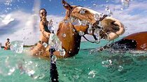 Horseback Ride Adventure Activity Inclusive With Transportation From Montego Bay