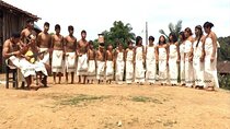 Private Full-Day Visit to an Indigenous Village in São Paulo
