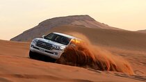 Morning Desert Safari in Dubai with Camel Ride and Sandboarding